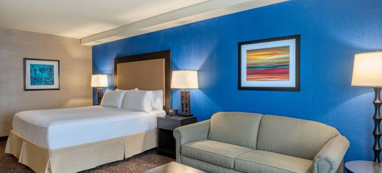 Holiday Inn 特雷霍特(Holiday Inn TERRE HAUTE by IHG)图片
