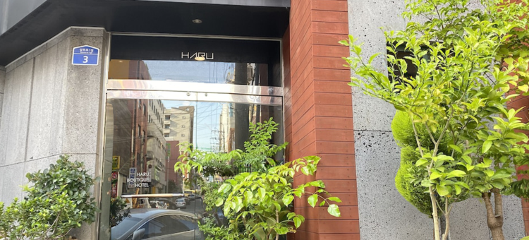 哈鲁酒店(Hotel Haru)图片