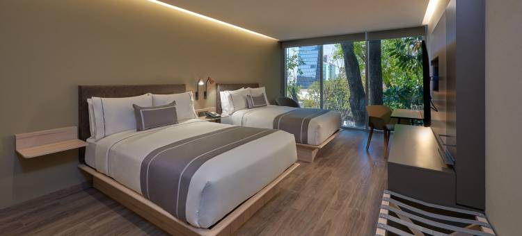 普罗维登西亚瓜达拉哈拉万豪城市快捷酒店(City Express Plus by Marriott Guadalajara Providencia)图片