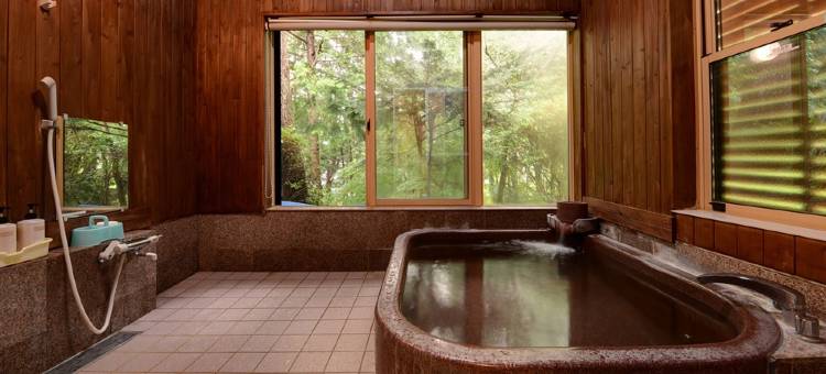 信州爱和之森酒店(Aiwa No Mori Hotel)图片