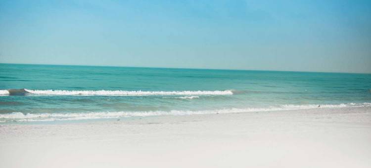 萨莫拉酒店(The Hotel Zamora)图片