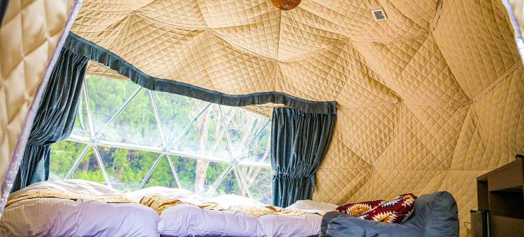 Rupo no Mori (Foret de Repos)图片