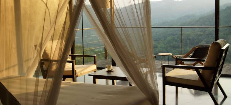 桑塔尼健康度假村及水疗中心(Santani Wellness Kandy)图片