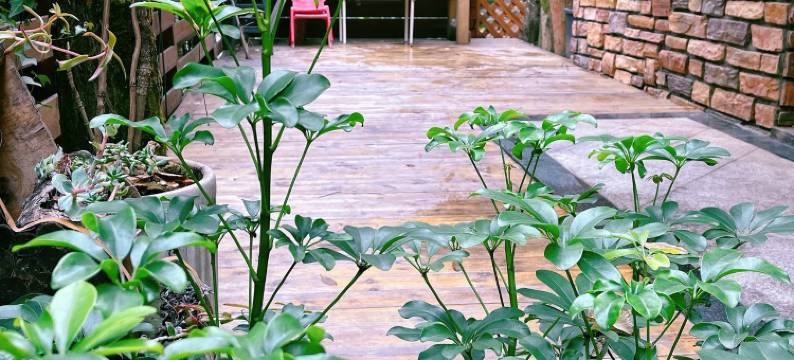 山水恬院度假别墅(星沙大道绿道分店)图片