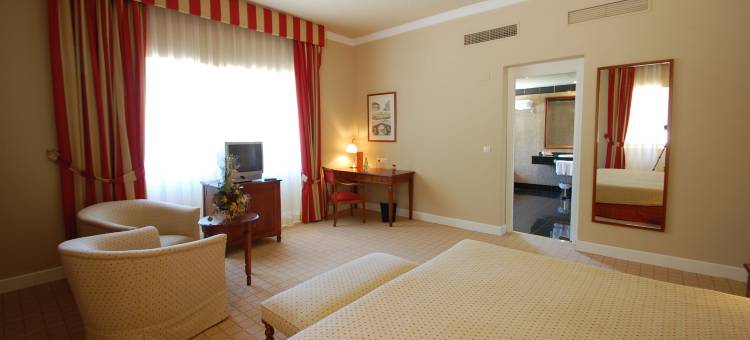 阿尔塞亚佩拉约大酒店(Arcea Gran Hotel Pelayo)图片
