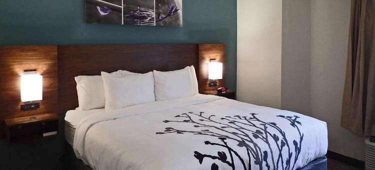 加利福尼亚州MD睡眠套房酒店(Sleep Inn & Suites California MD)图片