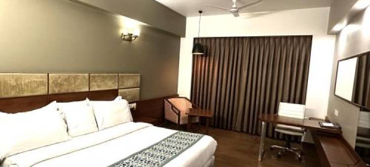 俞拉吉豪华酒店(Hotel Yuvraj DX)图片