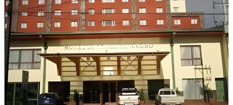 圣地亚哥德阿尔马格罗蒙特港酒店(Hotel Diego de Almagro Puerto Montt)图片