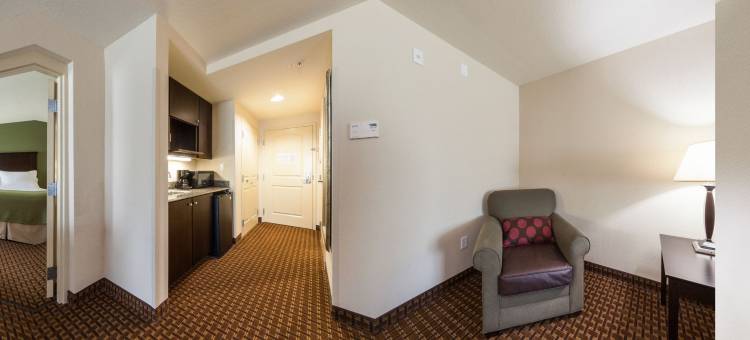 Holiday Inn 代托纳比奇LPGA BLVD(Holiday Inn Daytona Beach LPGA Boulevard)图片