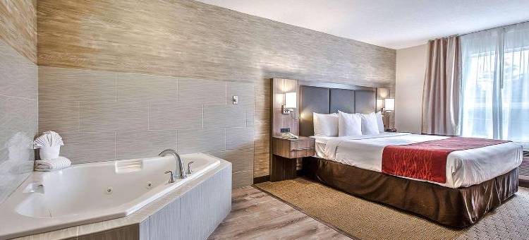 南部舒适酒店(Comfort Inn & Suites South)图片