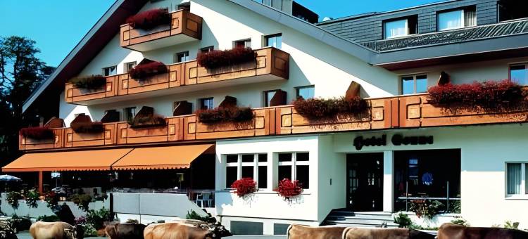 圣内酒店(Hotel Sonne)图片