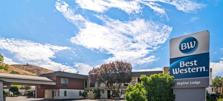 天际线贝斯特韦斯特汽车旅店(Best Western Skyline Motor Lodge)图片