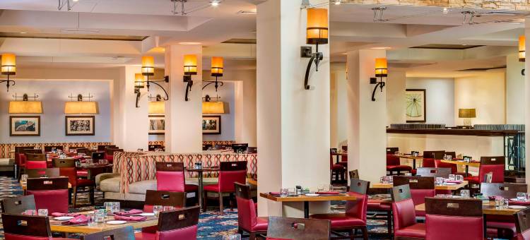 休斯顿万豪韦斯特彻斯酒店(Houston Marriott Westchase)图片