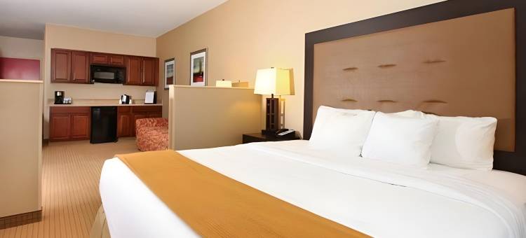 北奥拉西智选假日酒店及套房(Holiday Inn Express & Suites Olathe North)图片