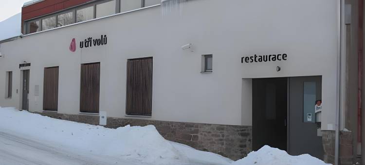 乌奇沃卢酒店(Hotel U Tri Volu)图片
