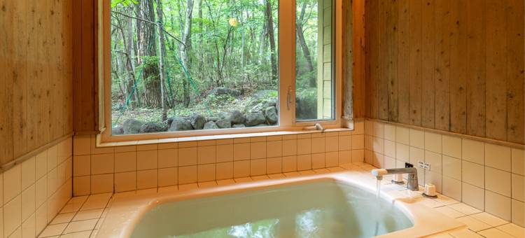 那须温泉 那须森林山酒店 (旧丽贾纳那须)(Hotel Forest-Hills Nasu)图片