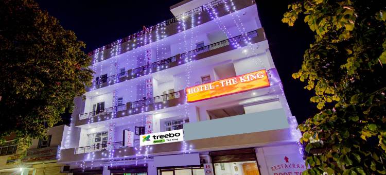 Treebo the King Mohali图片