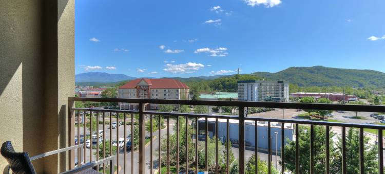 鸽子谷万怡酒店(Courtyard Pigeon Forge)图片