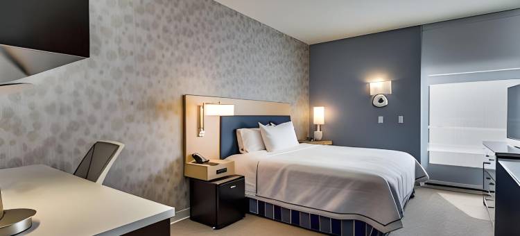 德克萨斯 DFW 机场南/欧文希尔顿惠庭酒店(Home2 Suites by Hilton DFW Airport South Irving)图片