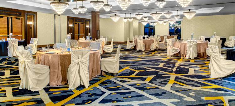 阿林顿南达拉斯沃斯堡国际机场希尔顿逸林酒店(Doubletree by Hilton Arlington DFW South)图片