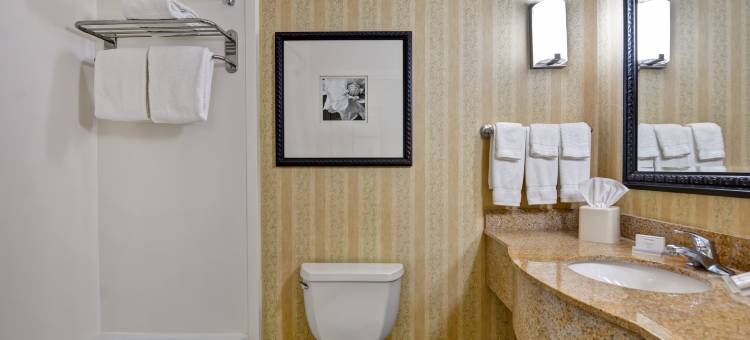 哈蒂斯堡希尔顿花园酒店(Hilton Garden Inn Hattiesburg)图片