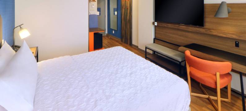 蒙特雷方迪多拉希尔顿特鲁酒店(Tru by Hilton Monterrey Fundidora)图片