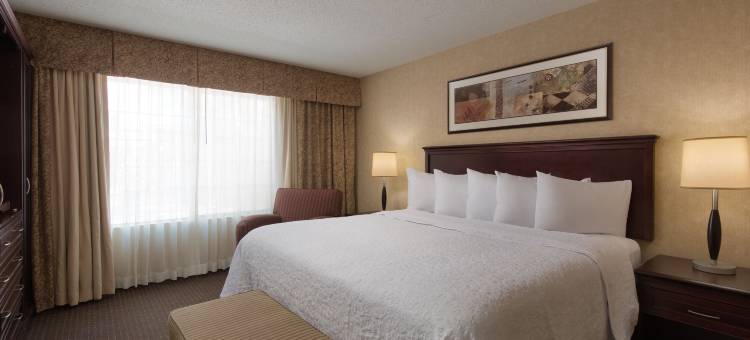 拉伯克希尔顿安泊套房酒店(Embassy Suites by Hilton Lubbock)图片