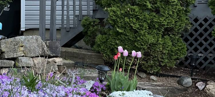 Scenic Views on 20 Acres! the Family Cabin Awaits. Sleeps 10图片