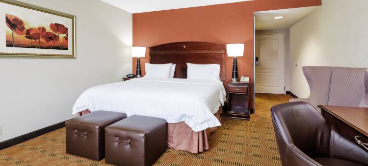 帕斯卡古拉莫斯波因特希尔顿欢朋酒店(Hampton Inn by Hilton Moss Point Pascagoula)图片