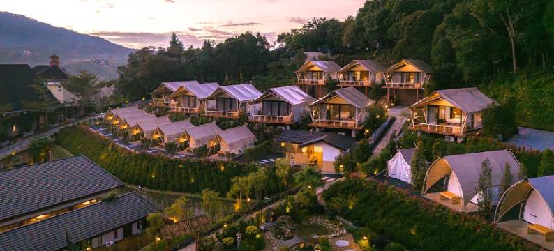 禅由斯特拉管理(Zen by Stellar Cameron)图片