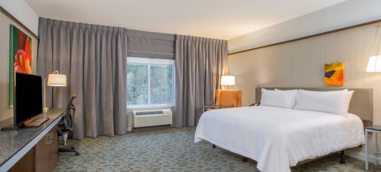 奥林匹亚希尔顿花园酒店(Hilton Garden Inn Olympia)图片