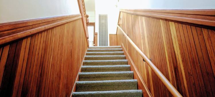 位置绝佳 - 4卧室，1浴室 - 旧金山艺术家的翻新红杉木住宅公寓(Perfect Location - 4BD,1BA - Restored Redwood Home of SF Artists)图片