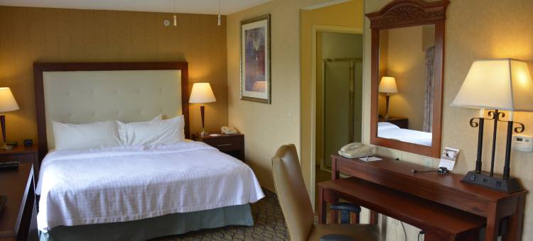 布赖顿Homewood Suites by Hilton(Homewood Suites by Hilton Brighton)图片