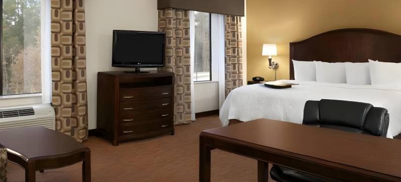 康罗I-45号北欢朋套房酒店(Hampton Inn & Suites Conroe I-45 North)图片