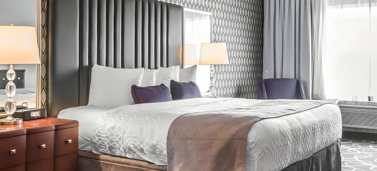 公园庄园酒店(Park Manor Hotel)图片