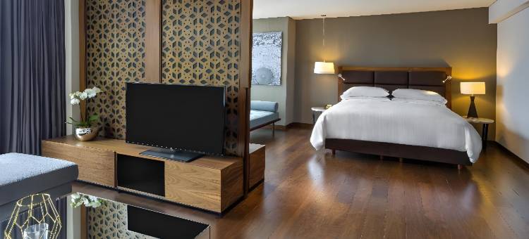 墨西哥斗牛美洲嘉年华酒店(Fiesta Americana Mexico Toreo)图片