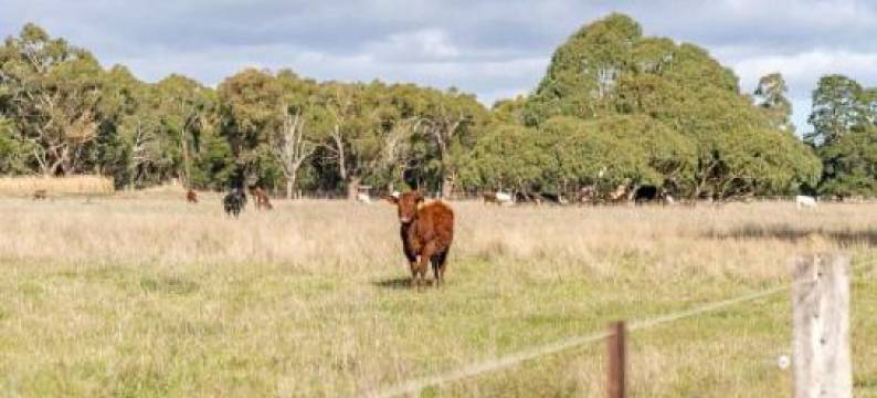 Deep Creek Sunset by Tiny Away图片