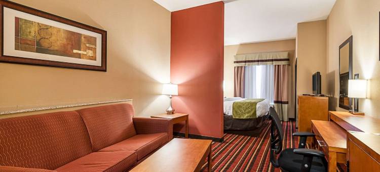 萨尔弗 - 查尔斯湖舒适套房酒店(Comfort Suites Sulphur-Lake Charles)图片