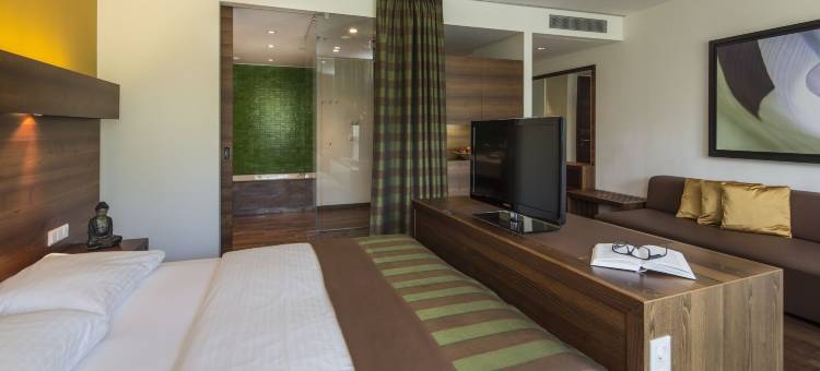 莱奥本酒店及亚洲水疗(Asia Hotel & Spa Leoben)图片