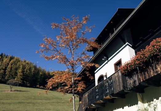 Beim Oswald Hotel Overview