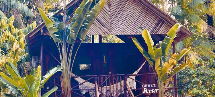 蓬塔波兰加丛林小屋(Ponta Poranga Jungle Lodge)图片