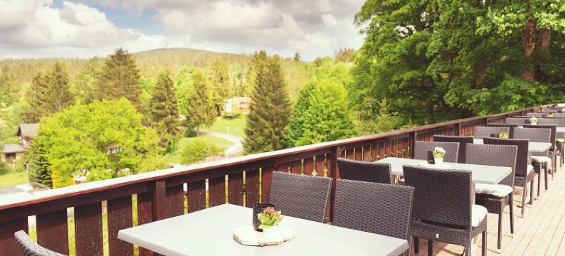 我的山景酒店(Hotel Mein Bergblick)图片