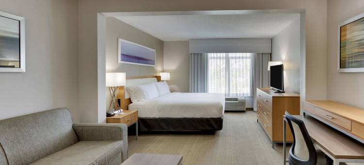 富兰克林假日酒店 - 冷泉(Holiday Inn Franklin - Cool Springs)图片