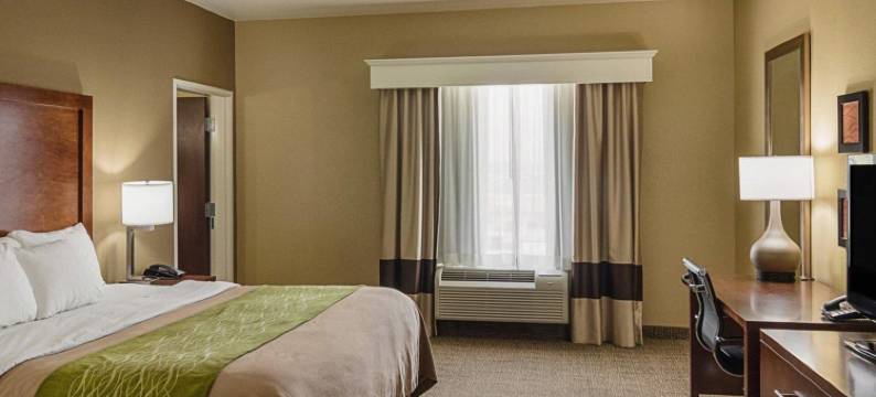 南米德兰I-20舒适酒店(Comfort Inn Midland South I-20)图片