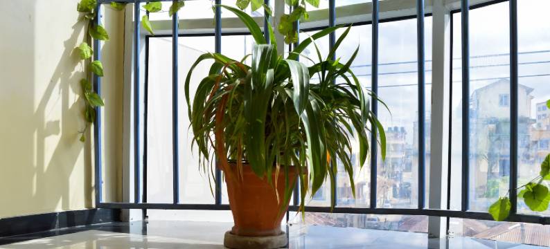 全球宫殿酒店(Global Palace Hotel)图片