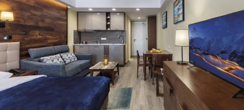 古代里山庄(Residence Gudauri Hills)图片