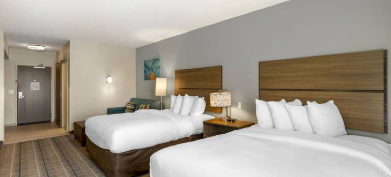 MainStay套房北 - 中央约克(MainStay Suites North - Central York)图片