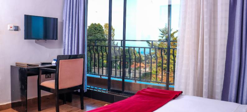 埃兹里酒店(The Hotel Ezri)图片