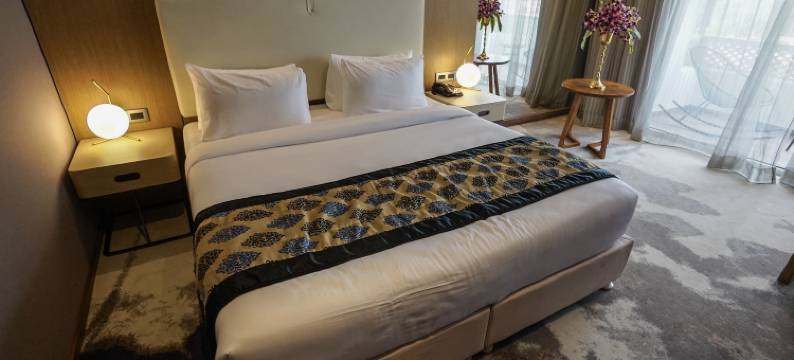 克拉克套房酒店(Clarks Inn Suites Raipur)图片