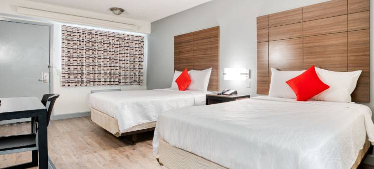 达拉斯爱田旅馆(Dallas Love Field Inn)图片